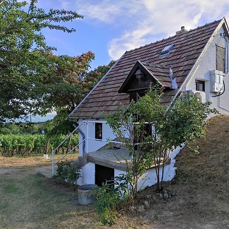 Ferienwohnung Kishaz A Szolohegyen Balatonakali Exterior foto